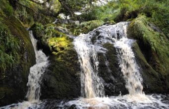 Irish Angling Update – 4 Nov 2022