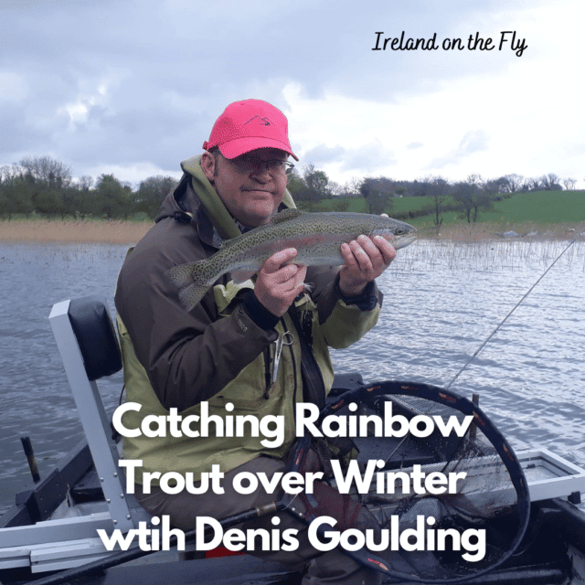 rainbow trout fishing in Winter