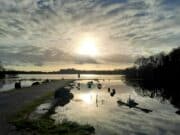 Irish Angling Update – 24 Nov 2022