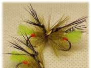 Trout, salmon and sea trout love Gorgeous George and his relatives Picric Gorgeous George