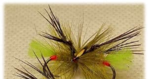 Trout, salmon and sea trout love Gorgeous George and his relatives Picric Gorgeous George