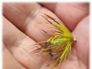 Jackie Mahon on Lough Melvin with the Irish Team The Del Boy Mayfly, one that worked