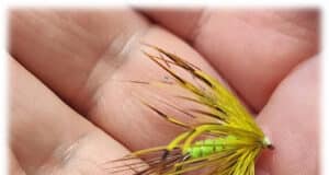 Jackie Mahon on Lough Melvin with the Irish Team The Del Boy Mayfly, one that worked