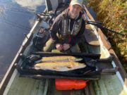 Plenty of action for overseas and domestic anglers at Melview Lodge
