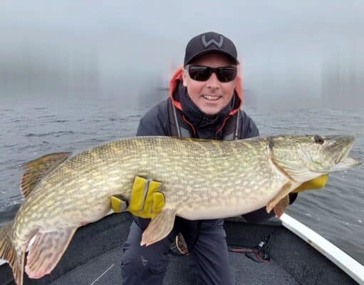 Insane big pike action reported from Boyle!