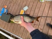 Junior angler shares some tips and tricks for success on L. Ramor