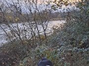 Lower water and lower weights for Munster CAC at O’Briensbridge Obreinsbridge