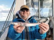 Cold spurs for Wicklow Bay SAC