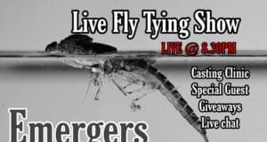 emergers