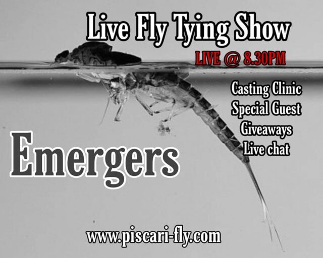 emergers