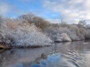 Irish Angling Update 16 December 2022