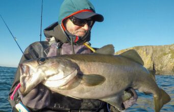 December pollack on fly