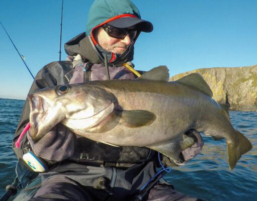 Hungry pollack smashing lures and flies in West Cork December pollack on fly