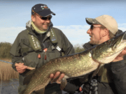 Ireland on the Fly: Irish Pike on the Fly