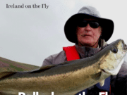 Ireland on the Fly: Pollack on the fly – and why more & more fly anglers are focusing on this fish