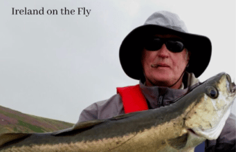 Ireland on the Fly: Pollack on the fly – and why more & more fly anglers are focusing on this fish