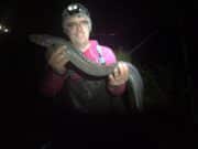 Reasonable fishing at Redbarn for West Cork SAC conger