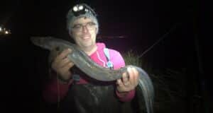 conger