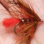 fiery brown octopus banner