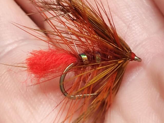 fiery brown octopus