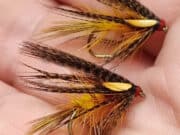 Jackie Mahon’s Cock Robin Dabbler and a variant Cock Robin Dabbler