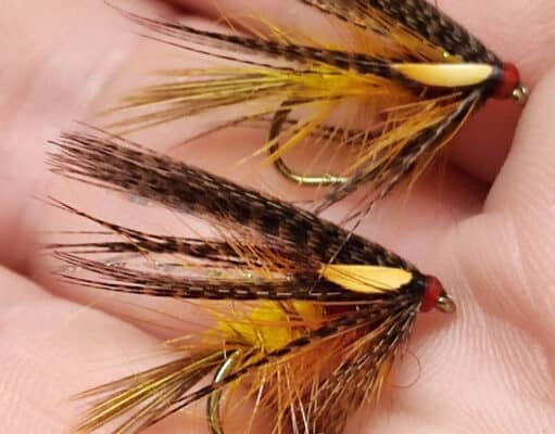 Jackie Mahon’s Cock Robin Dabbler and a variant Cock Robin Dabbler
