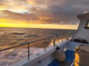 Irish Angling Update 20 January 2023