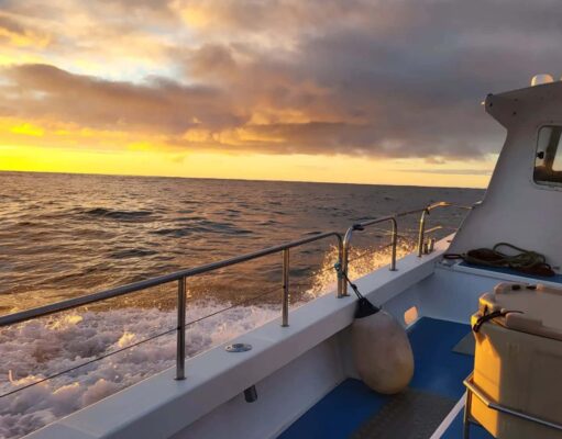 Irish Angling Update 20 January 2023