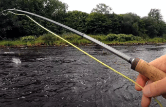 ‘Getting the Call’ – summer salmon fishing on the River Mourne