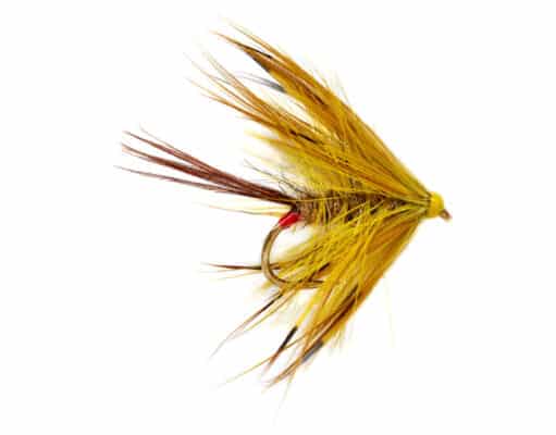 Jackie Mahon's Yellow Mayfly