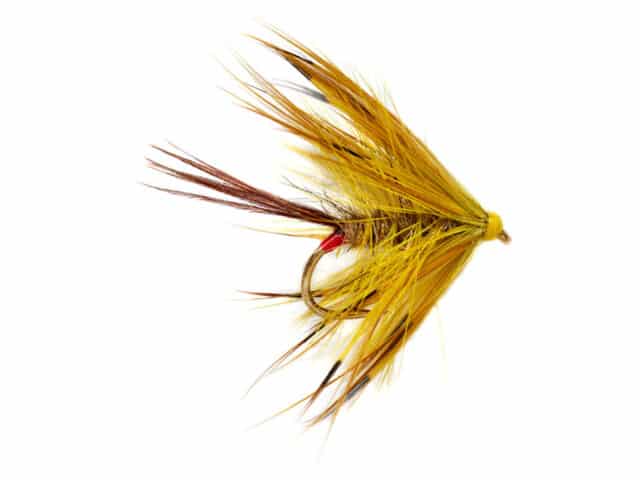 Jackie Mahon's Yellow Mayfly