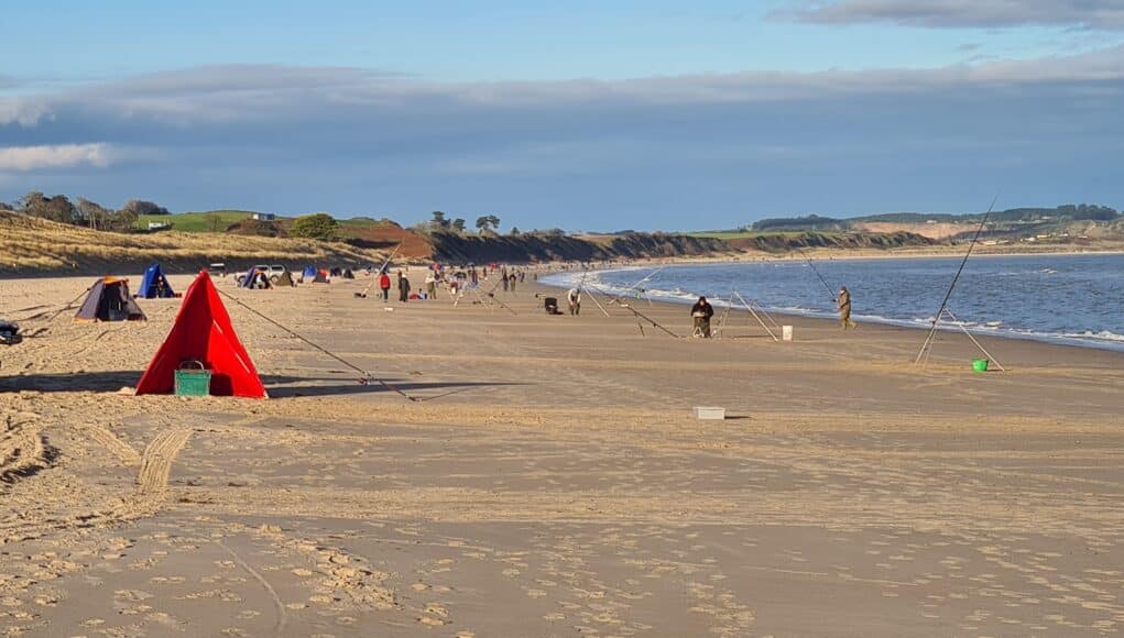The 2023 Irish Winter Shore Angling Festival took place on east Wexford beaches