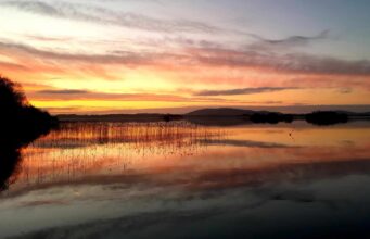 Irish Angling Update February 9th 2023 🎣