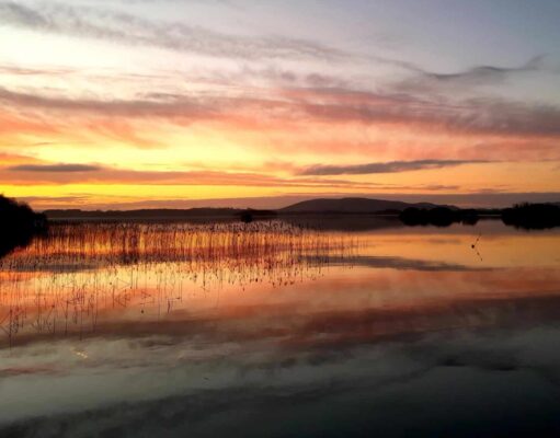 Irish Angling Update February 9th 2023 🎣