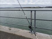 Tough fishing but Cork SAC enjoy trip to Cobh Cobh