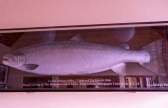 Opening Day on the Galway Fishery