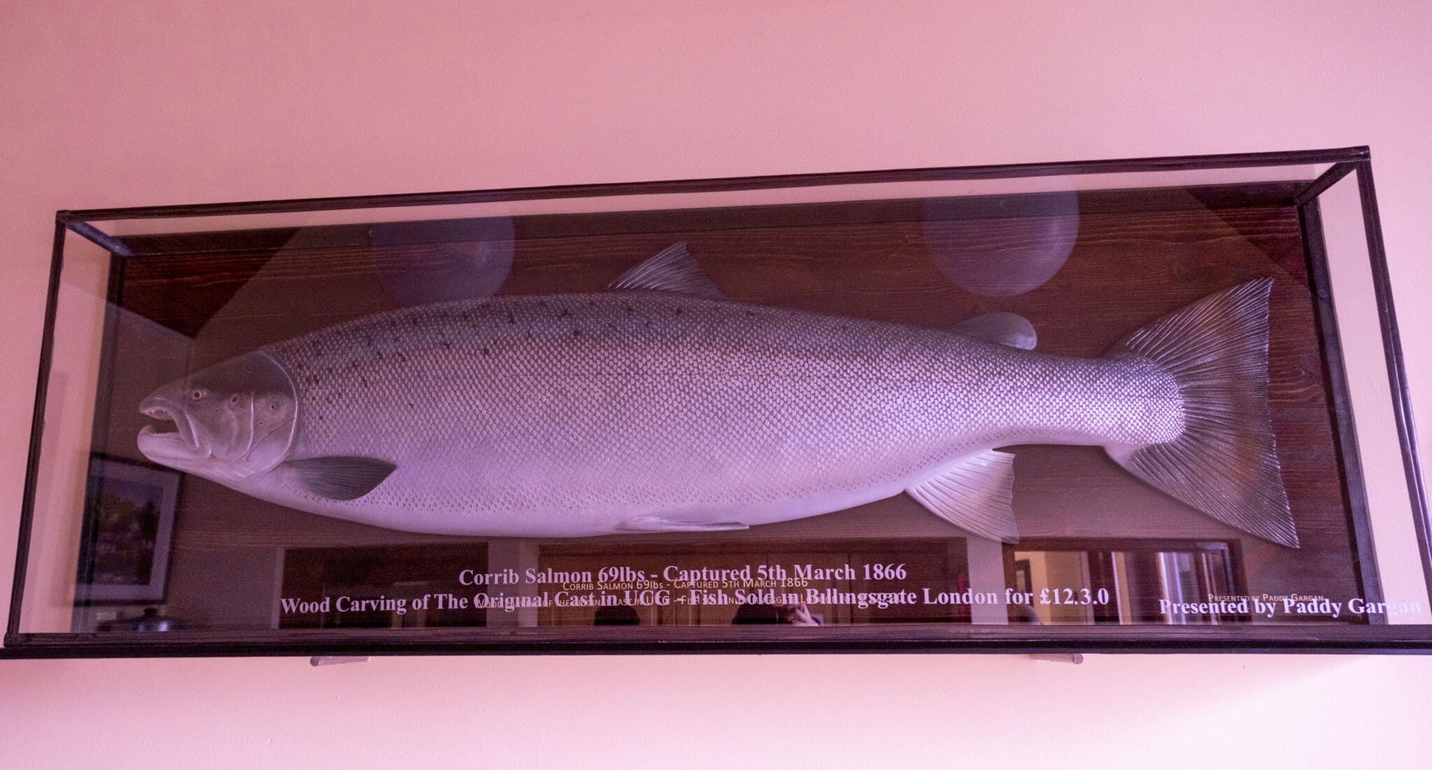 Good spring salmon fishing in Galway  Fishing in Ireland - Catch the  unexpected