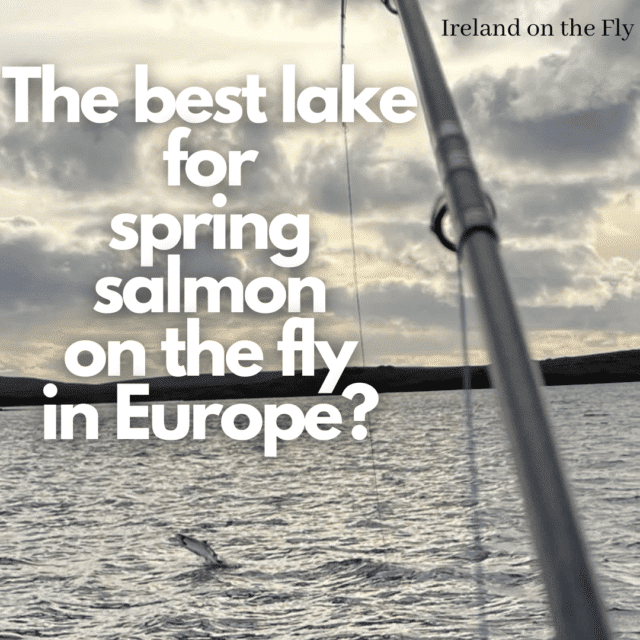 Ireland on the Salmon