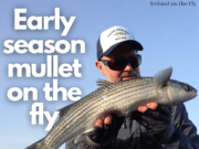 Ireland on the Fly podcast talks to David Norman