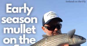 Ireland on the Fly podcast talks to David Norman