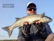 February mullet on fly for Angling Adventures West Cork Mullet, West Cork