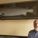 P Gargan 69lb Salmon