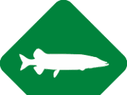 Pike Angling Club Competition Roundup
