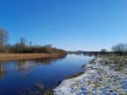 Irish Angling Update – 17 Feb 2023