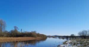 Irish Angling Update – 17 Feb 2023