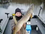 Pike to 109 cm at Melview Fishing Lodge