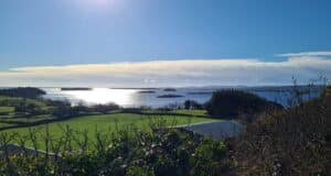 Trout of all sizes on Corrib