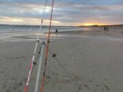 Rebel sea anglers enjoy good evening on Ballycrenane Ballycrenane