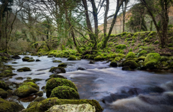 Irish Angling Update – 24 March 2023