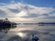 Irish Angling Update 3rd March 2023 π£